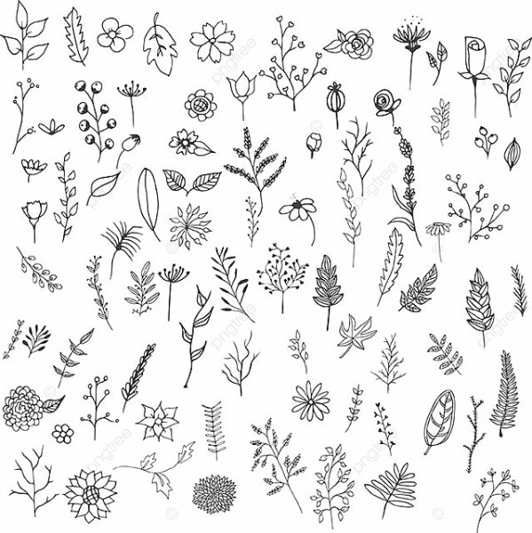 Полевые цветы паттерн