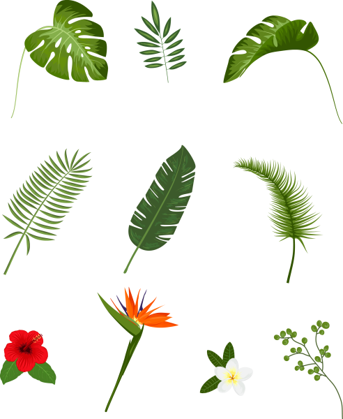 Векторные тропические цветы