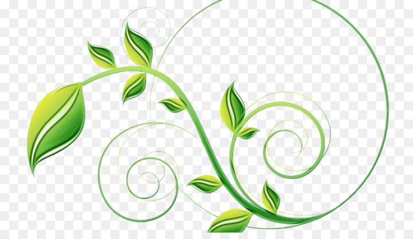 Растительный узор