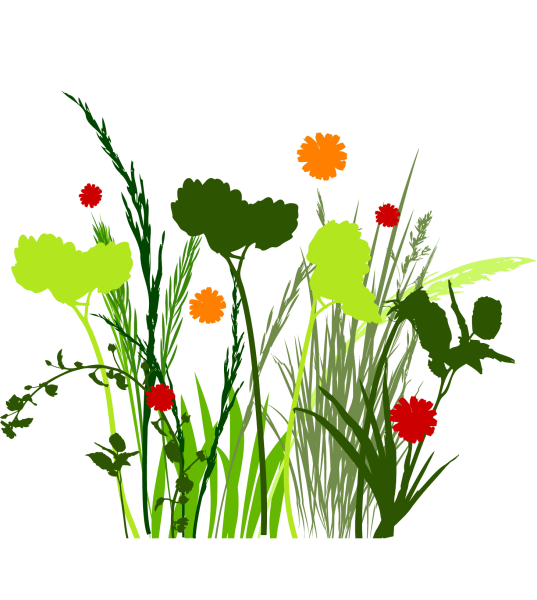 Трава рисунок