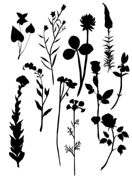 Трава силуэт