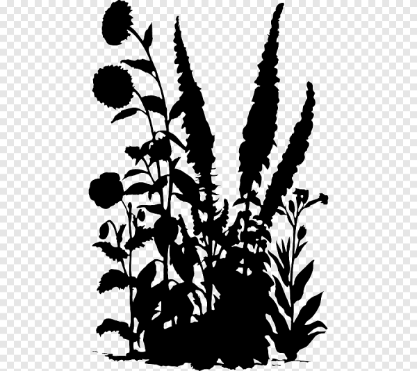Растительный силуэт