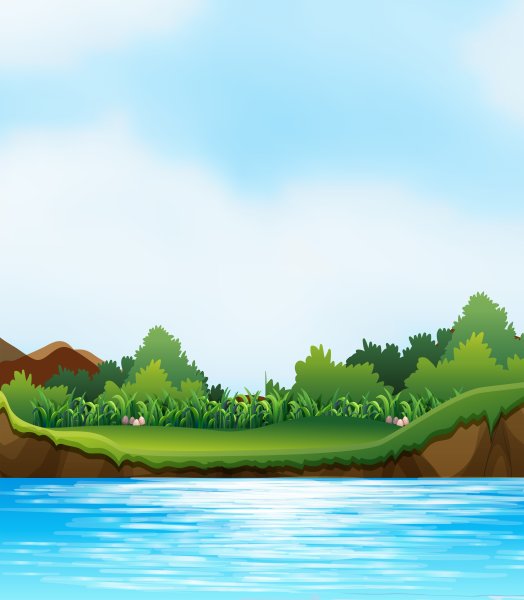 Березы и река в векторе