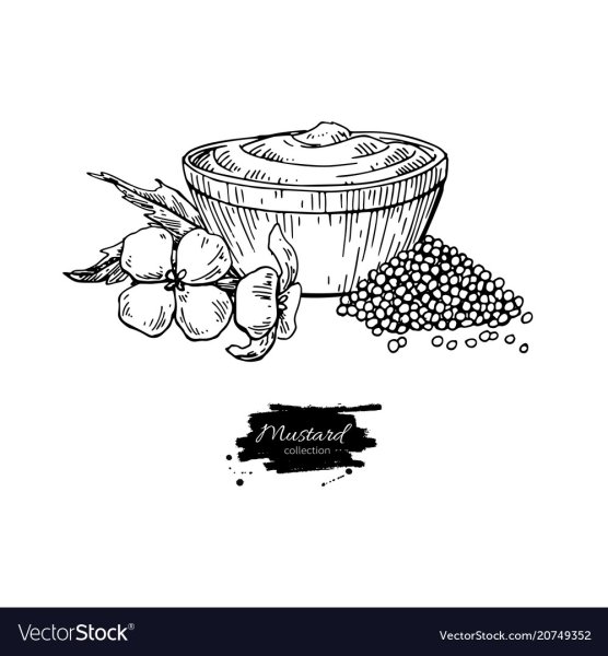 Менажница коралл 17p4818 Cover