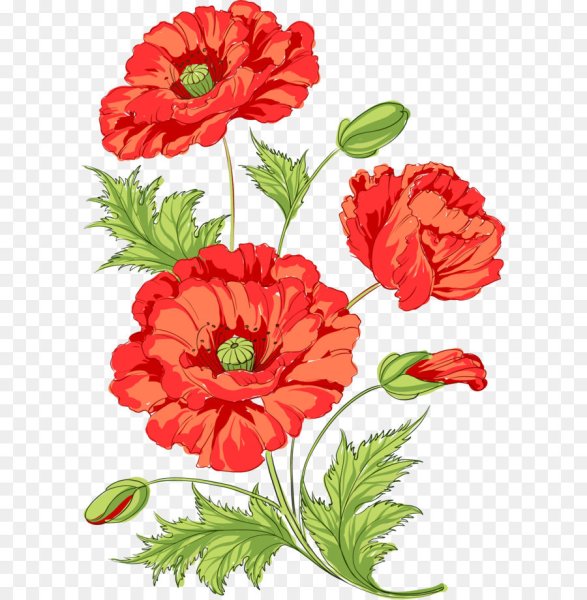 Маки вектор