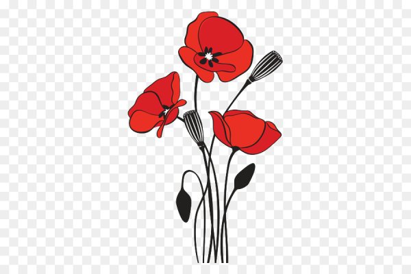 Маки Векторная Графика