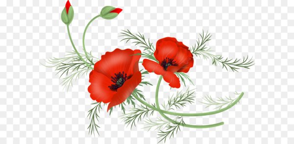 Орнамент из маков