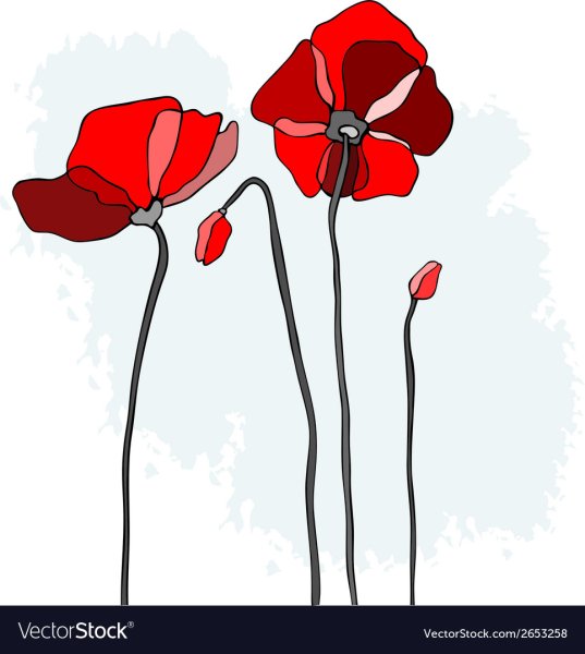 Принт маки вектор