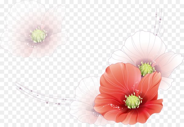 Полупрозрачные цветы на прозрачном фоне