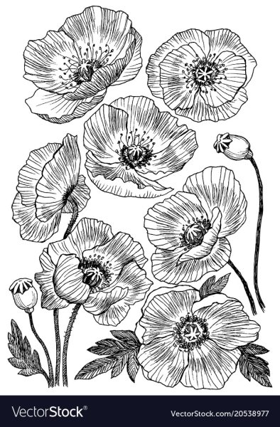 Нарисованный Мак Графика