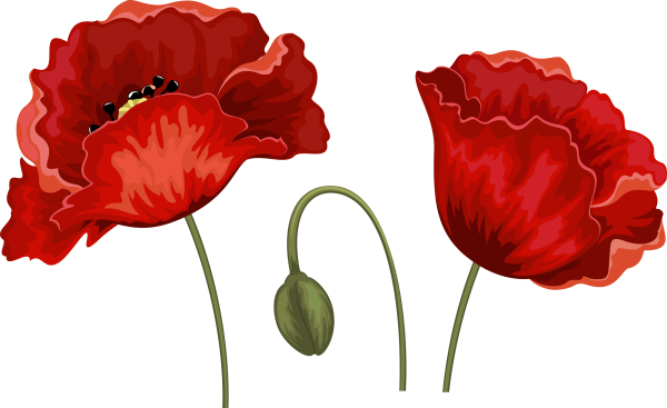 Маки векторные