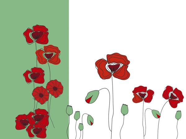 Маки Векторная Графика