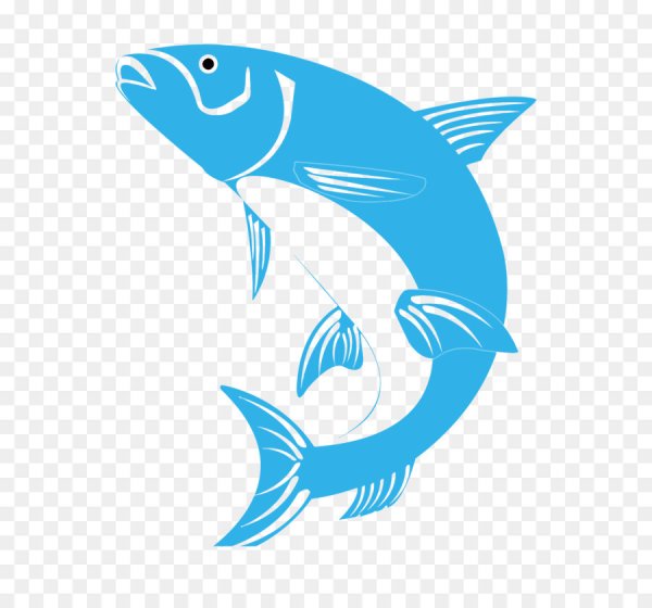 Векторное изображение рыбы