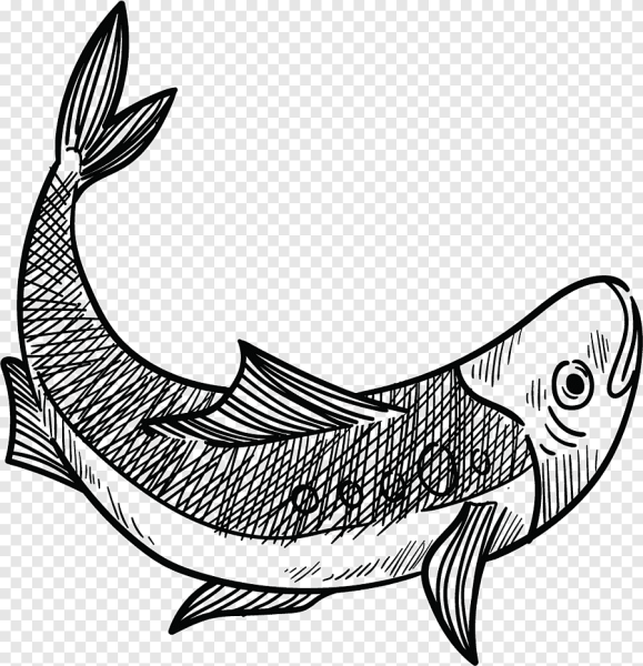 Рыба Векторная Графика