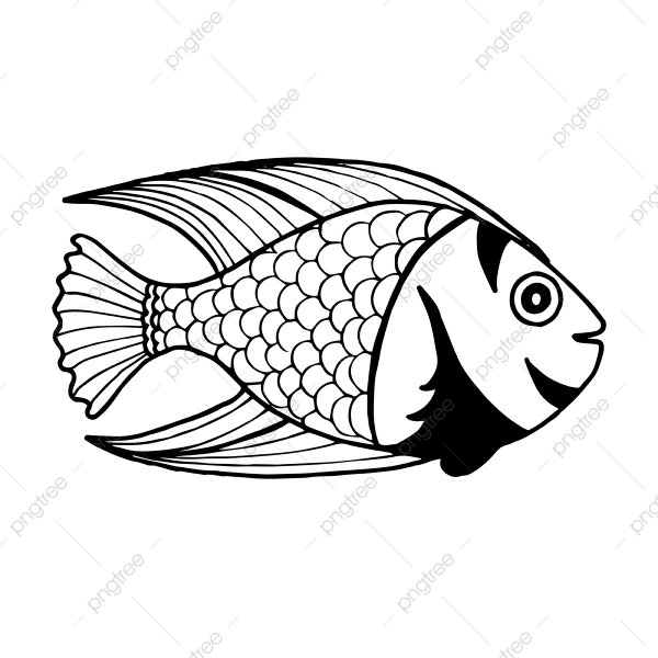 Рыбка черно белая