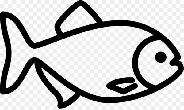 Рыбка схематично