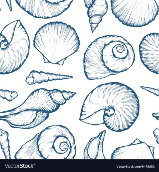 Рисование на ракушках