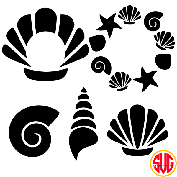 Стилизованная Ракушка