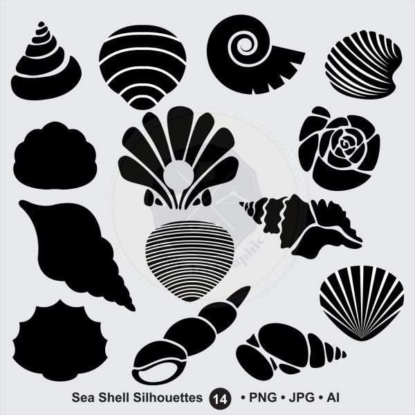 Трафарет Ракушка для вырезания