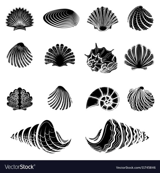 Стилизация ракушки