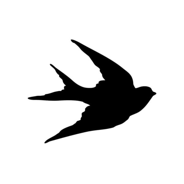 Красивые силуэты птиц