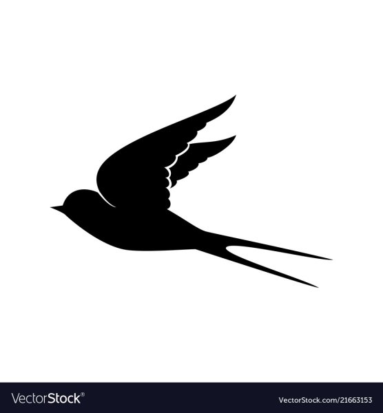 Ласточка вектор