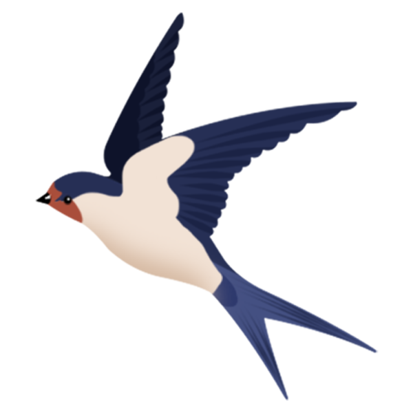 Ласточка на прозрачном фоне