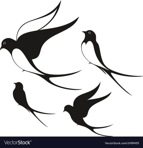 Трафарет ласточки на ветке