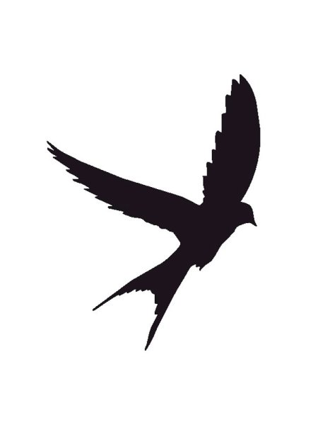 Силуэт птицы в полете