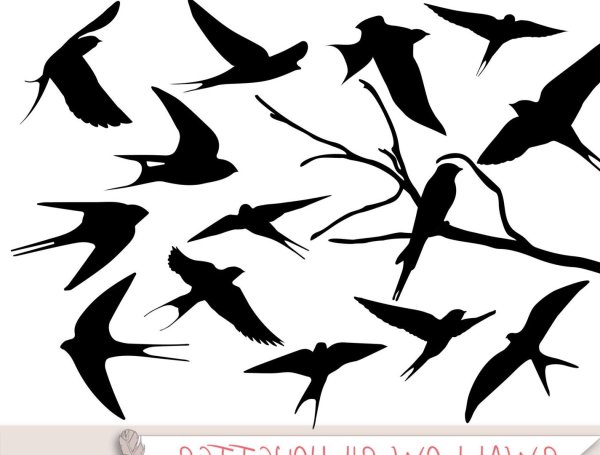 Ласточка силуэт