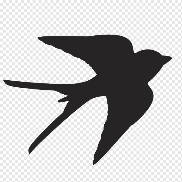 Силуэт птицы