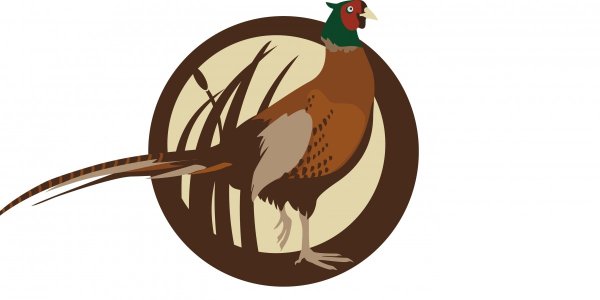 Логотип золотой фазан