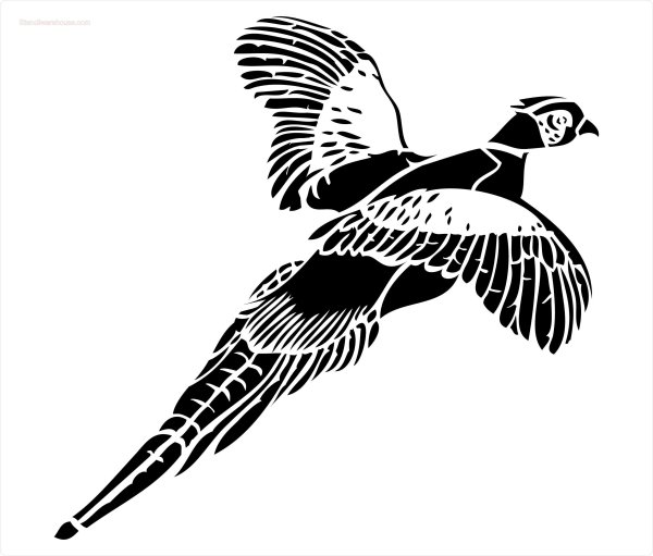 Трафарет фазан