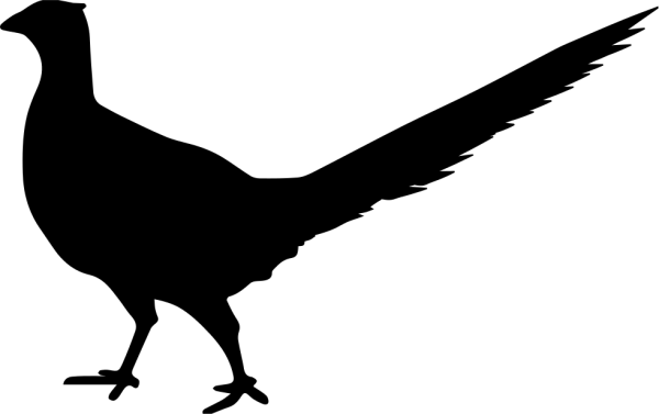 Фазан силуэт