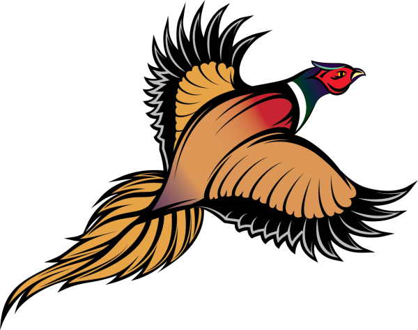 Фазан вектор