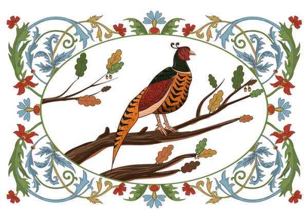 Фазан сказка