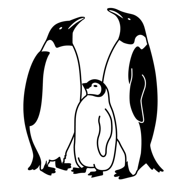 Пингвин Графика