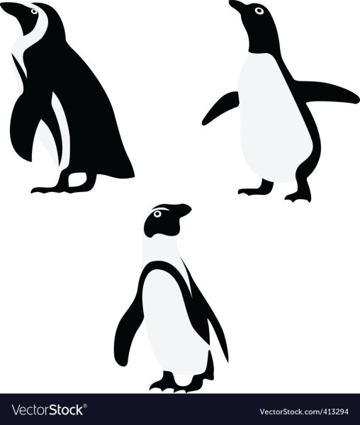 Стилизация пингвина