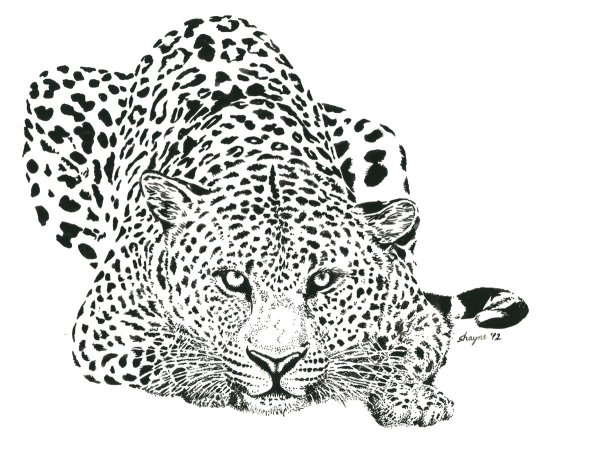 Леопард рисунок