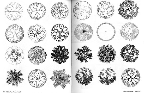 Антураж деревья архитектурная Графика план