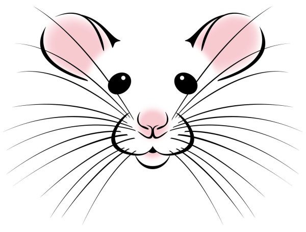 Мышка вектор