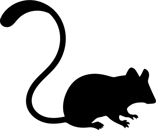 Силуэт крысы