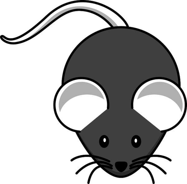 Мышка для детей