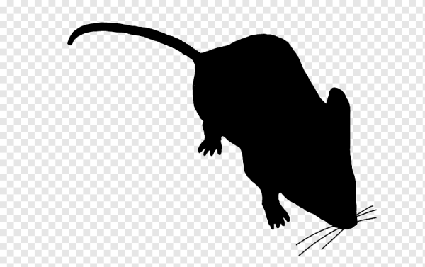 Силуэты грызунов