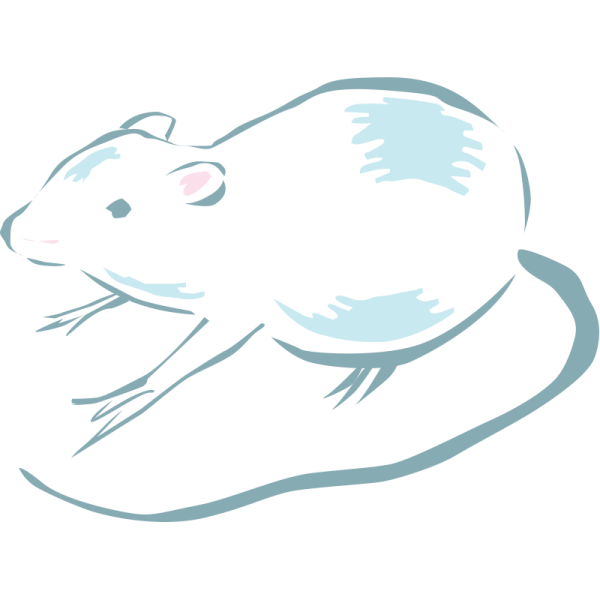 Векторная мышка