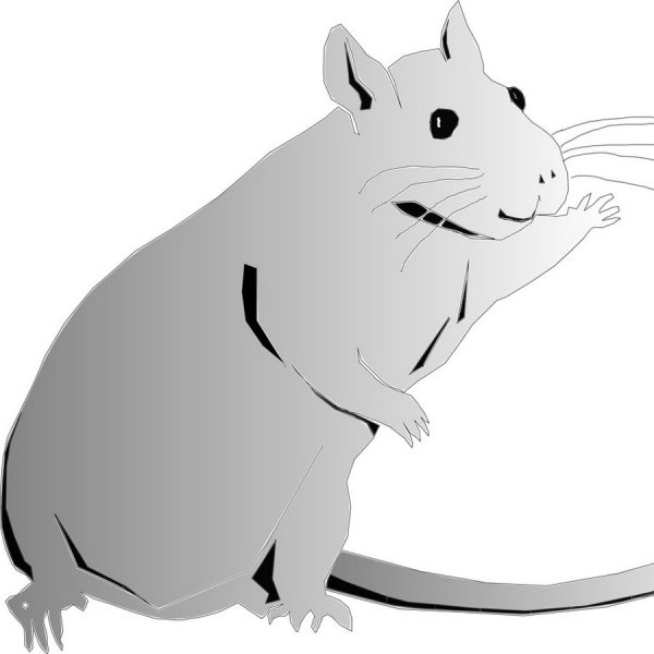 Крыса стилизация