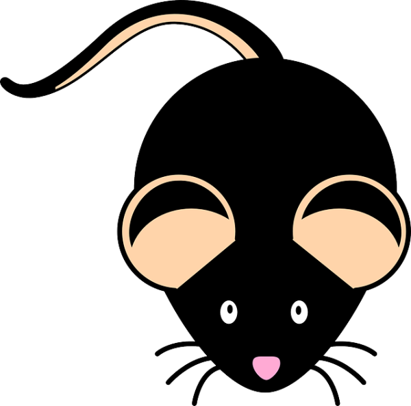 Стилизованная мордочка мышки для а