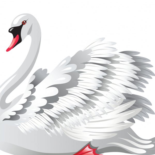 Лебедь вектор