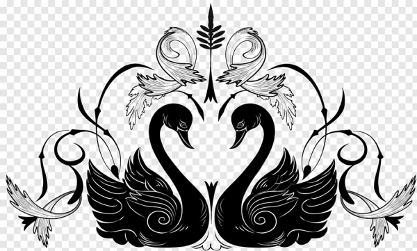 Свадебные лебеди вектор