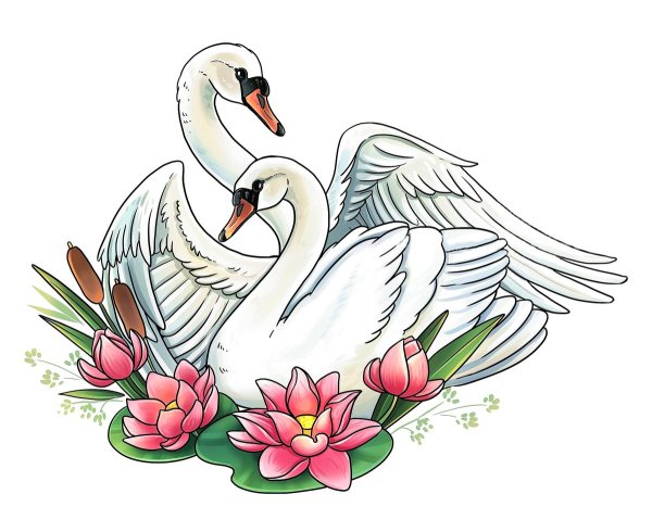 Лебедь рисунок